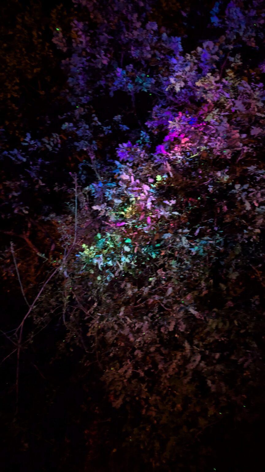 PXL_20250628_215448361